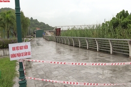 TP Thanh Hóa: Nhiều điểm đê kè sông Mã bị sạt, sụt lún nghiêm trọng