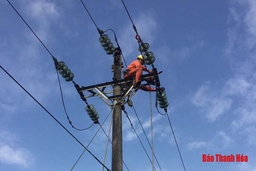 Điện lực Thanh Hóa tập trung khắc phục sự cố lưới điện sau bão số 3
