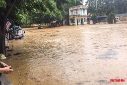 Mưa lớn, nhiều hộ dân thị trấn Lam Sơn (Thọ Xuân) ngập sâu trong nước