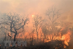 Tổng thống Brazil: Cháy rừng Amazon là “vấn đề nội bộ” của khu vực