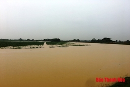 Huyện Thọ Xuân: Hàng nghìn hộ dân xã Quảng Phú bị chia cắt vì nước sông Cầu Chày dâng cao