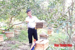 Anh Lê Văn Lâm làm giàu từ nghề nuôi ong lấy mật
