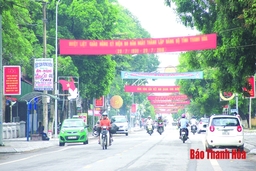 Danh sách các xã, phường, thị trấn được hỗ trợ phí bảo hiểm nông nghiệp trên địa bàn tỉnh Thanh Hóa