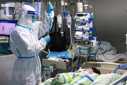 Mỹ tuyên bố tình trạng khẩn cấp y tế công cộng do virus corona