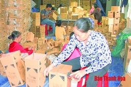 Huyện Nga Sơn có 4.560 lao động lĩnh vực tiểu thủ công nghiệp