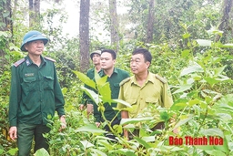 Bảo vệ rừng đặc dụng vùng giáp ranh trên địa bàn huyện Thạch Thành
