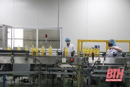 Các doanh nghiệp trong Khu Kinh tế Nghi Sơn duy trì và khôi phục sản xuất, kinh doanh