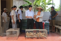 Trao 1.350 gà giống cho hội viên nông dân xã Đông Khê