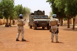 Gia hạn hoạt động cho lực lượng LHQ tại Cao nguyên Golan và Mali
