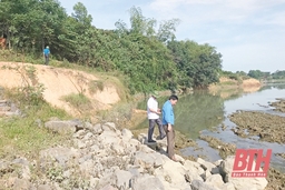Đoạn đê hữu sông Chu qua xã Minh Tâm đang bị sạt lở nghiêm trọng