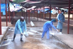 Thanh Hóa thực hiện “Tháng tổng vệ sinh, khử trùng, tiêu độc môi trường phòng, chống dịch bệnh gia súc, gia cầm”
