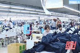 Đầu tư xây dựng Nhà máy may tại xã Đông Yên công suất 1.500.000 sản phẩm/năm