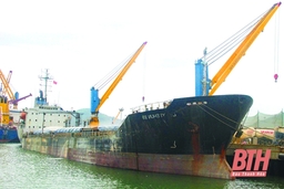 Đã có 24 chuyến tàu Container quốc tế cập Cảng Nghi Sơn trong năm 2020