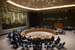 Hội đồng Bảo an Liên hợp quốc phê chuẩn thỏa thuận ngừng bắn Libya