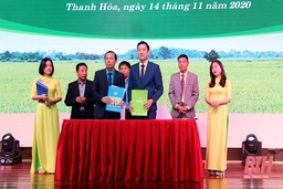 Thỏa thuận hợp tác thực hiện chương trình phúc lợi cho đoàn viên và người lao động tỉnh Thanh Hóa