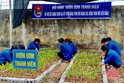 Vườn ươm thanh niên góp phần xây dựng nông thôn mới