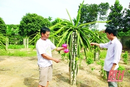 Xây dựng cơ chế phù hợp để phát triển kinh tế nông - lâm nghiệp ở huyện Như Thanh