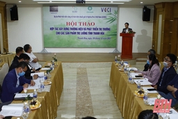 Hợp tác xây dựng và phát triển thị trường cho sản phẩm tre, luồng tỉnh Thanh Hóa