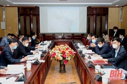 Cho ý kiến vào Đề án phát triển vật liệu xây dựng tỉnh Thanh Hoá thời kỳ 2021-2030, định hướng đến năm 2045