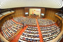 Tuần này, Quốc hội tiến hành chất vấn các thành viên Chính phủ