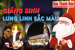 Lễ Giáng sinh lung linh sắc màu tại TP Thanh Hóa