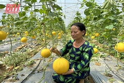 Người phụ nữ vượt khó, phát triển kinh tế ở xã vùng cao Xuân Dương