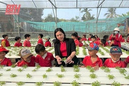 Công tác phổ cập giáo dục tiểu học ở thị xã Nghi Sơn