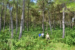 Xã hội hóa công tác bảo vệ và phát triển rừng tại BQL rừng phòng hộ Thạch Thành