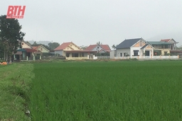 Xây dựng nông thôn mới kiểu mẫu ở Hà Sơn