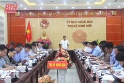 Thị xã Nghi Sơn cần đẩy nhanh tiến độ, sớm hoàn thành nhiệm vụ xây dựng nông thôn mới