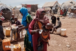 UNECA: Tình trạng nghèo đói trên khắp châu Phi gia tăng trong 5 năm qua