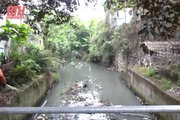 Sớm xử lý tình trạng ô nhiễm môi trường từ cống tiêu thoát nước ở phường Đông Vệ
