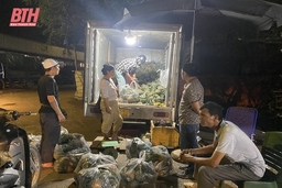Chợ đầu mối rau quả, thực phẩm Đông Hương nhộn nhịp ngay ngày đầu kỳ nghỉ lễ