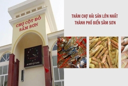 Thăm chợ hải sản lớn nhất thành phố biển Sầm Sơn