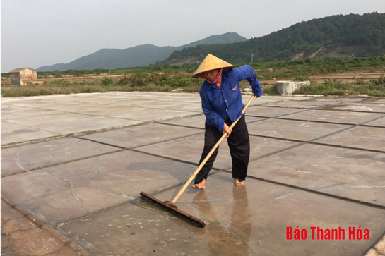 Xã Hòa Lộc: Nhọc nhằn nghề muối và bài toán chuyển đổi mô hình kinh tế