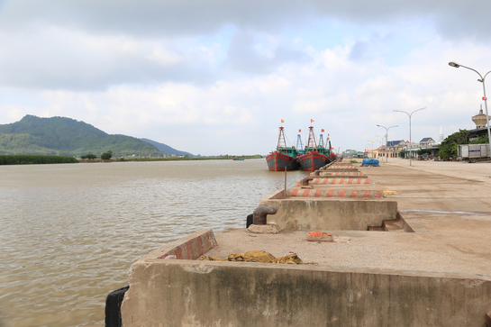 Cần phát huy lợi thế, đánh thức tiềm năng cảng cá Hòa Lộc