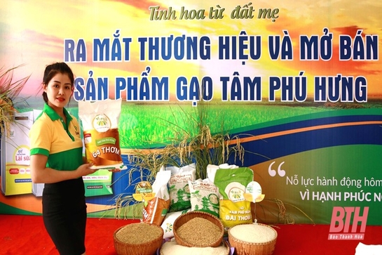 Ra mắt thương hiệu gạo Tâm Phú Hưng