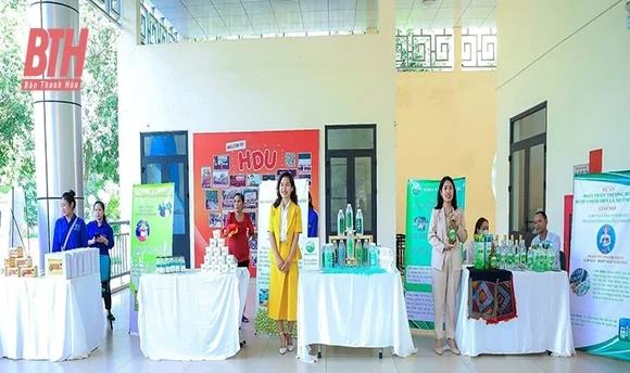 Hiệu quả bước đầu từ việc hỗ trợ sinh viên khởi nghiệp