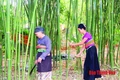 Huyện Quan Sơn: Khởi công xây dựng nhà máy chế biến nguyên liệu từ cây họ tre theo tiêu chuẩn FSC