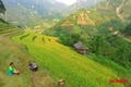Du lịch miền Tây xứ Thanh: Pù Luông hút hồn du khách