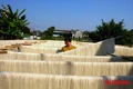 Làng hoa Đông Cương: “Ăn ngủ cùng hoa” ngày cận Tết