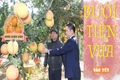 Đào, quất, bưởi cảnh về phố đón Tết