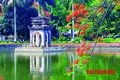 Gốm Tam Thọ - tinh hoa gốm cổ xứ Thanh