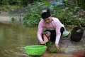 Du lịch miền Tây xứ Thanh: Pù Luông hút hồn du khách