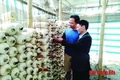 Kỹ sư công nghiệp làm giàu từ cây nấm