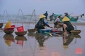 Biển Hải Tiến vào mùa moi