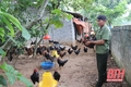 Trang trại “chim khổng lồ” ở xứ Thanh