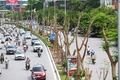 Đề xuất các giải pháp quản lý, thúc đẩy phát triển cây xanh đô thị trên địa bàn tỉnh Thanh Hóa