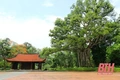 Đông đảo du khách dâng hương tại Khu di tích Lam Kinh