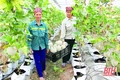 Thanh Hóa rà soát, đánh giá tình hình thực hiện các cơ chế, chính sách giai đoạn 2016 - 2020